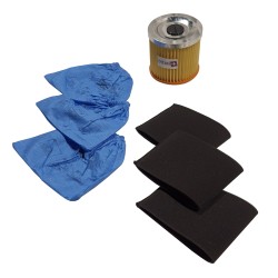 Distri+ - 1 Filtre Cartouche 3 Filtres mousse compatible (alternative pour réf d'origine 45120275) + 3 pochettes filtrantes po