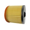 Filtre cartouche compatible Aquavac Goblin Pro100 Pro200 Pro210 Pro300