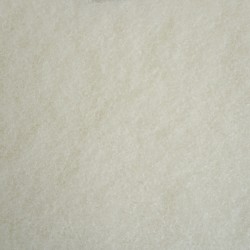 Distri+ - Lot de 5 Superpads Blanc 432 mm (17") - disque de Polissage non abrasif pour monobrosse et autolaveuse - finition bri